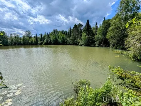 99 Acres Cty Rd 424, Alpha, MI 49902 photo 17