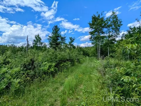 99 Acres Cty Rd 424, Alpha, MI 49902 photo 13
