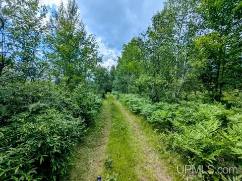 99 Acres Cty Rd 424, Alpha, MI 49902 photo 14