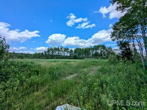 99 Acres Cty Rd 424, Alpha, MI 49902 photo 4