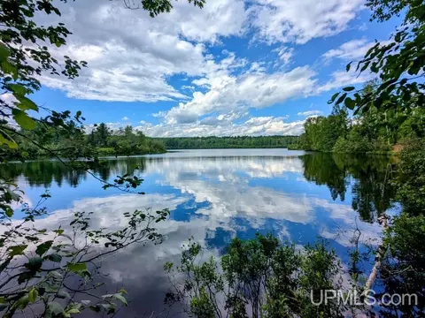 99 Acres Cty Rd 424, Alpha, MI 49902