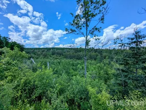 99 Acres Cty Rd 424, Alpha, MI 49902 photo 29
