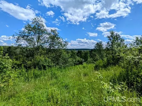 99 Acres Cty Rd 424, Alpha, MI 49902 photo 5