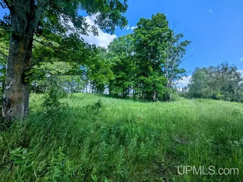 99 Acres Cty Rd 424, Alpha, MI 49902 photo 24