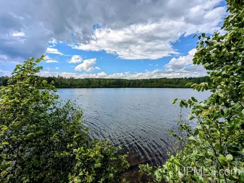 99 Acres Cty Rd 424, Alpha, MI 49902 photo 30