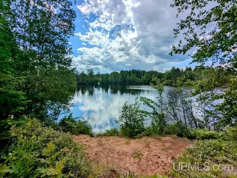 99 Acres Cty Rd 424, Alpha, MI 49902 photo 2