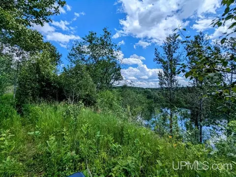 99 Acres Cty Rd 424, Alpha, MI 49902 photo 6