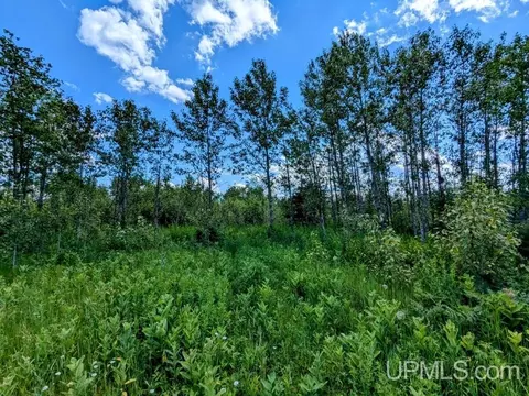 99 Acres Cty Rd 424, Alpha, MI 49902 photo 28