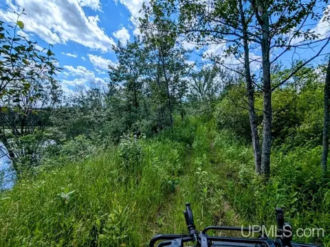 99 Acres Cty Rd 424, Alpha, MI 49902 photo 7
