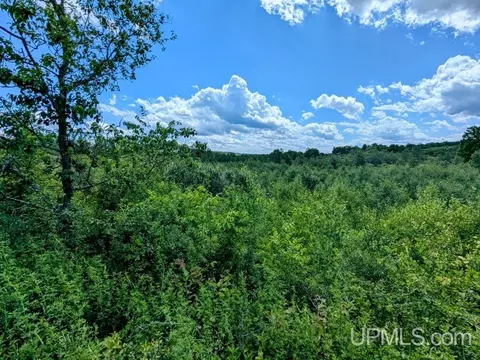 99 Acres Cty Rd 424, Alpha, MI 49902 photo 27