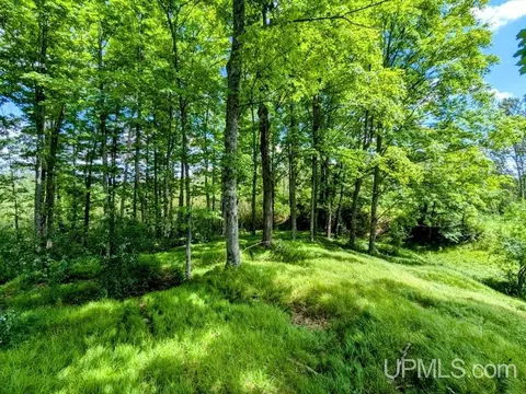 99 Acres Cty Rd 424, Alpha, MI 49902 photo 25