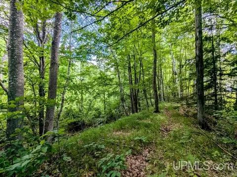 5 Acres Mastodon, Alpha, MI 49902