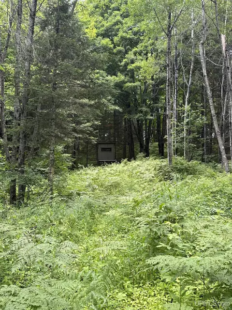 30664 Co Rd 557, Arnold, MI 49819 photo 24