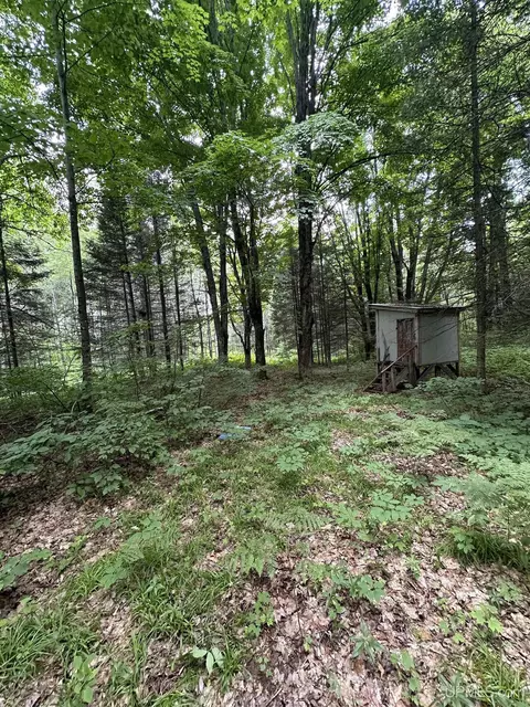 30664 Co Rd 557, Arnold, MI 49819 photo 46