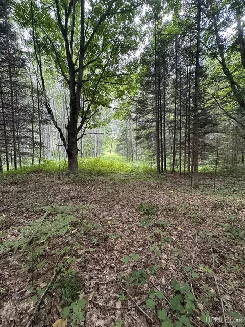 30664 Co Rd 557, Arnold, MI 49819 photo 35