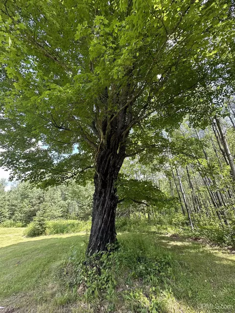 30664 Co Rd 557, Arnold, MI 49819 photo 38
