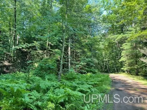 1 28 Acres Big Bear, Pembine T-wi, WI 54156