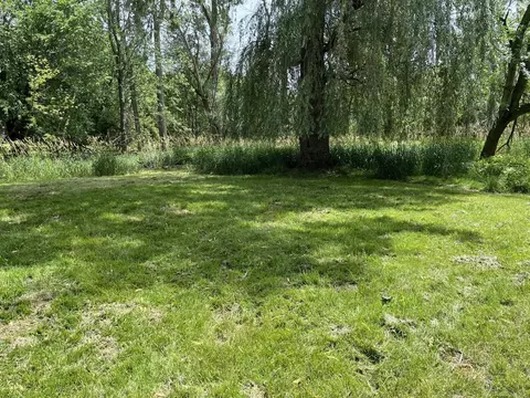 1814 E Willard, Lansing, MI 48910 photo 9