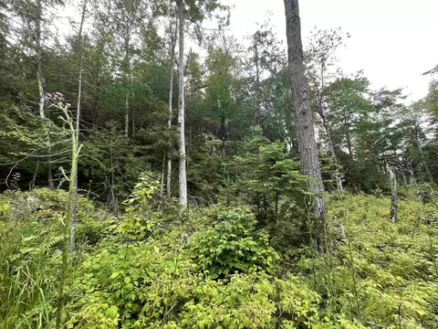 24 Acres Off Cooper Lk, Ishpeming, MI 49849 photo 12