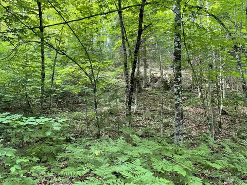 24 Acres Off Cooper Lk, Ishpeming, MI 49849 photo 5