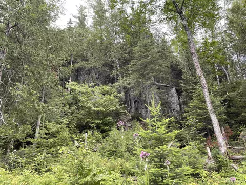 24 Acres Off Cooper Lk, Ishpeming, MI 49849 photo 13