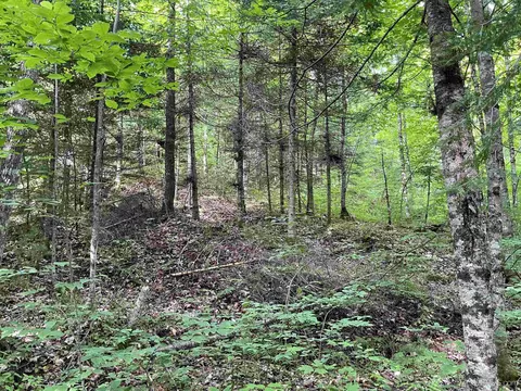 24 Acres Off Cooper Lk, Ishpeming, MI 49849 photo 4