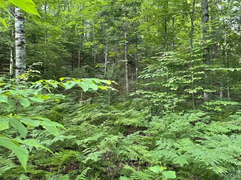 24 Acres Off Cooper Lk, Ishpeming, MI 49849 photo 6