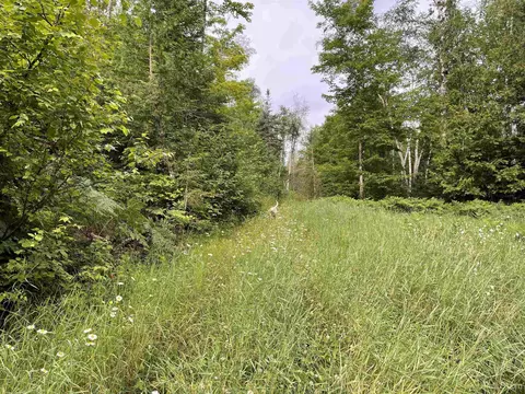 24 Acres Off Cooper Lk, Ishpeming, MI 49849 photo 8