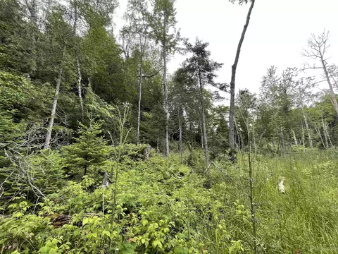 24 Acres Off Cooper Lk, Ishpeming, MI 49849 photo 11