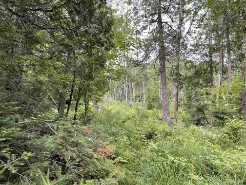 24 Acres Off Cooper Lk, Ishpeming, MI 49849 photo 10