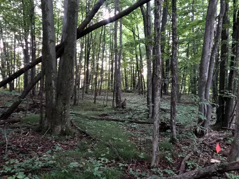 10 Ac Stub, Harrison, MI 48625