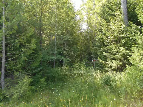 Tbd Lustila, Germfask, MI 49836