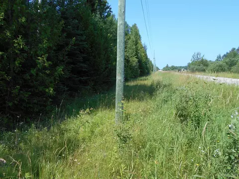 Tbd Lustila, Germfask, MI 49836 photo 12