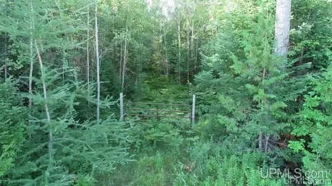 Tbd Lustila, Germfask, MI 49836 photo 22