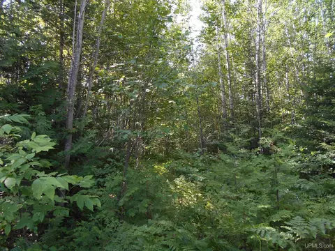 Tbd Lustila, Germfask, MI 49836 photo 2
