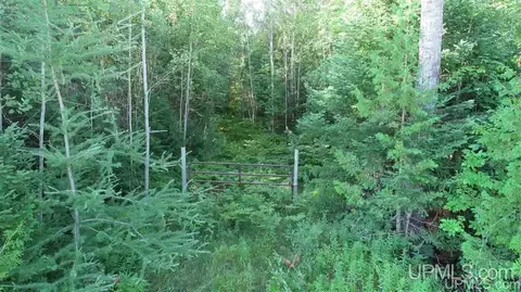Tbd Lustila, Germfask, MI 49836 photo 23