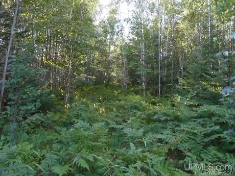 Tbd Lustila, Germfask, MI 49836 photo 17