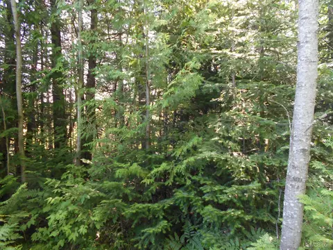 Tbd Lustila, Germfask, MI 49836 photo 3