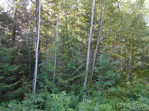 Tbd Lustila, Germfask, MI 49836 photo 24