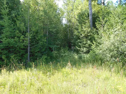 Tbd Lustila, Germfask, MI 49836 photo 11