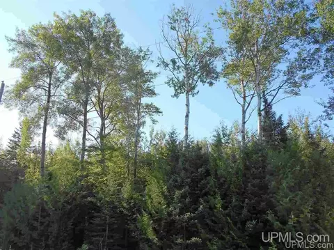 Tbd Lustila, Germfask, MI 49836 photo 20