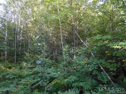 Tbd Lustila, Germfask, MI 49836 photo 16