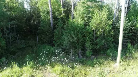 Tbd Lustila, Germfask, MI 49836 photo 21