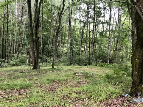 Tbd 40 Ac E Ashard, Harrison, MI 48625 photo 14