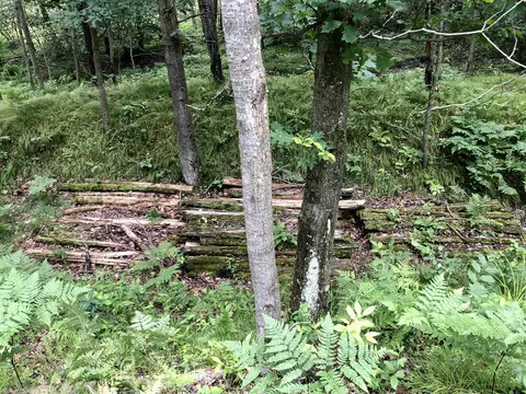 Tbd 40 Ac E Ashard, Harrison, MI 48625 photo 17