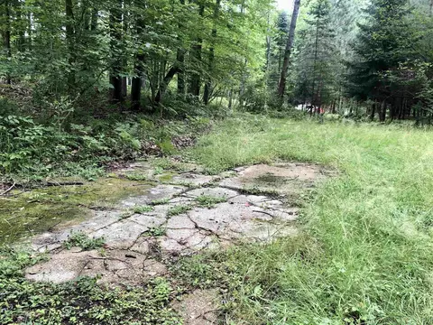 Tbd 40 Ac E Ashard, Harrison, MI 48625 photo 6