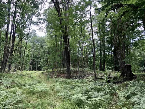 Tbd 40 Ac E Ashard, Harrison, MI 48625 photo 16