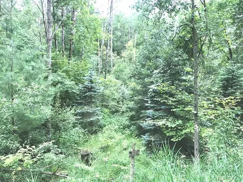 Tbd 40 Ac E Ashard, Harrison, MI 48625 photo 4