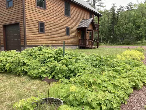 Exterior - 387 Ninth, Copper Harbor, MI 49918 photo 18 of 18