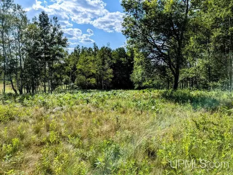 18 Acres Riv, Iron River, MI 49935